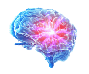 Brain neuroscience behing adhd bright